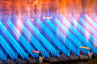 Puckington gas fired boilers